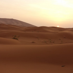 7 Deserto