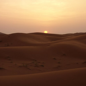 8 Deserto