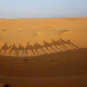 10 Deserto