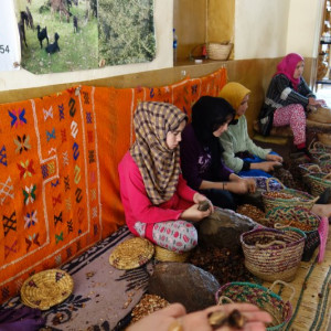 13 Argan