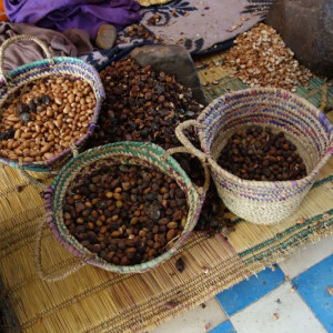 14 Argan