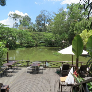 Sepilok Nature Resort