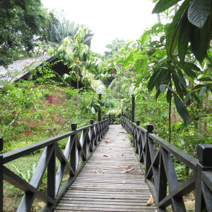 Sepilok Nature Resort