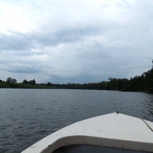 Kinabatangan River