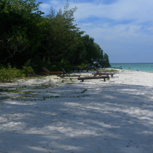Lankayan Island