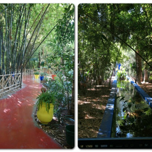Marraquexe 19 Jardim Majorelle