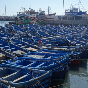 Essaouira 6