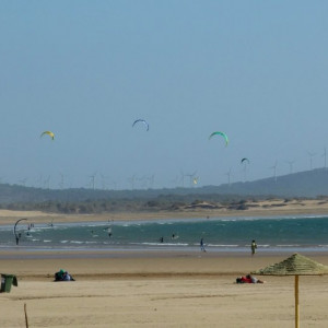 Essaouira 11