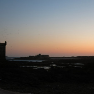 Essaouira 13