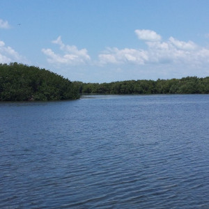 20160508_125515