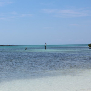 IMG_8565