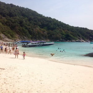 Similan beach 2