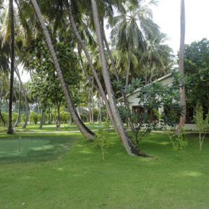 DSC02598