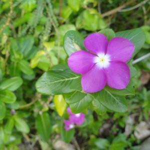 DSC02603