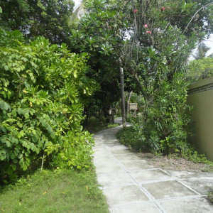 DSC02601