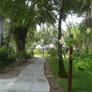 DSC02602