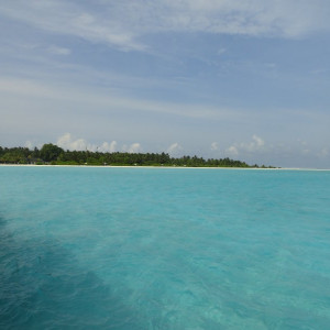 DSC02615