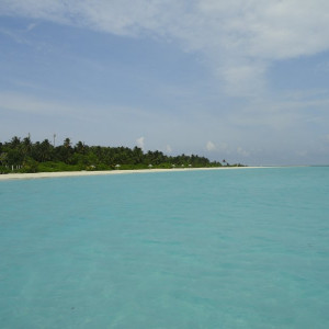 DSC02610