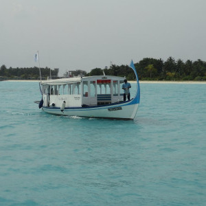 DSC02626