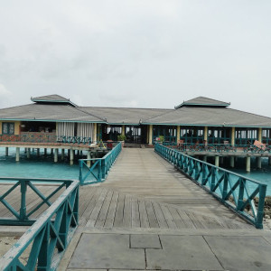 DSC02630
