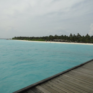 DSC02633