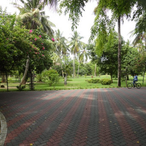 DSC02642