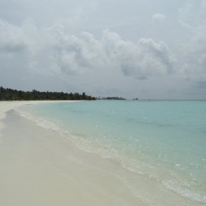 DSC02666