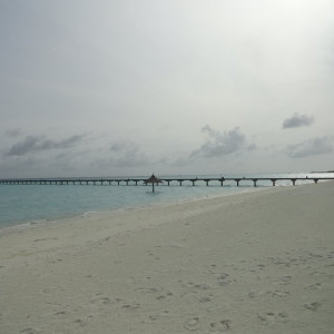 DSC02737