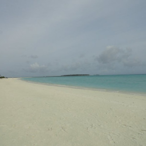 DSC02736