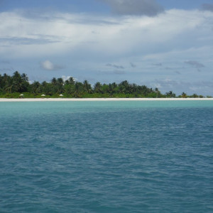 DSCF3969