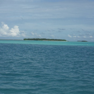 DSCF3968