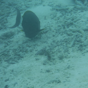 DSCF4058