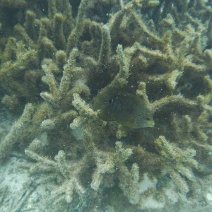 DSCF4152