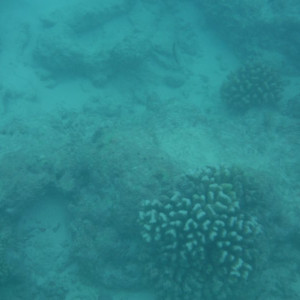 DSCF4435