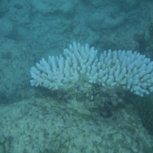 DSCF4457