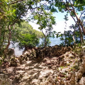 IMG_20160528_173806353_HDR