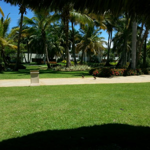 20160529_111001
