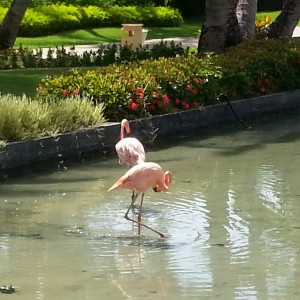 20160530_100152