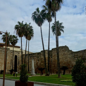 Mérida 7