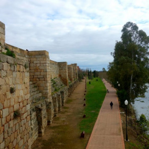 Mérida 8