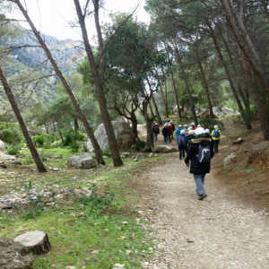 Caminito 9