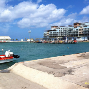 IMG-20150811-WA0004