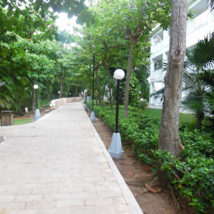 Jardim