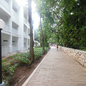 JArdim2