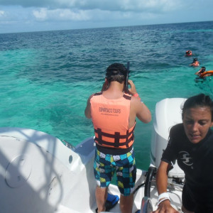 SAM_0595
