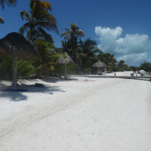SAM_0609