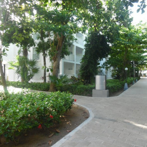 SAM_0662
