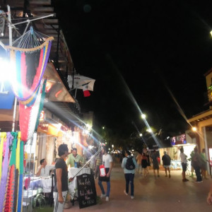 SAM_0684