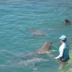Xcaret
