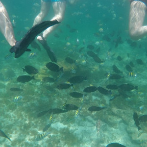 Isla Contoy